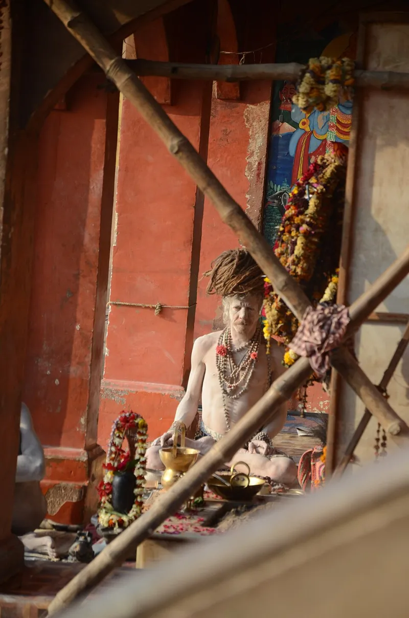 Ojas Over Optimization: The Ancient Science Behind Reclaiming Your Mind from the Screen