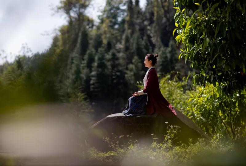 Stillness as Medicine: Why Chasing Wellness Perfection May Be Your Deepest Imbalance